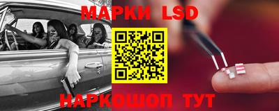 стафф Краснодар