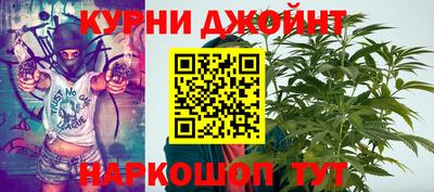 крисы Кунгур