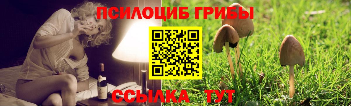 Галлюциногенные грибы Magic Shrooms  Вход с VPN  наркота  Ивантеевка 